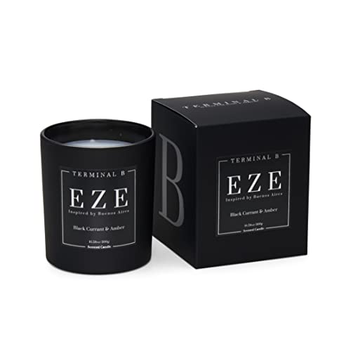 TERMINAL B Luxury Scented Candle, EZE - Buenos Aires: Black Currant and Amber (10.58 oz)