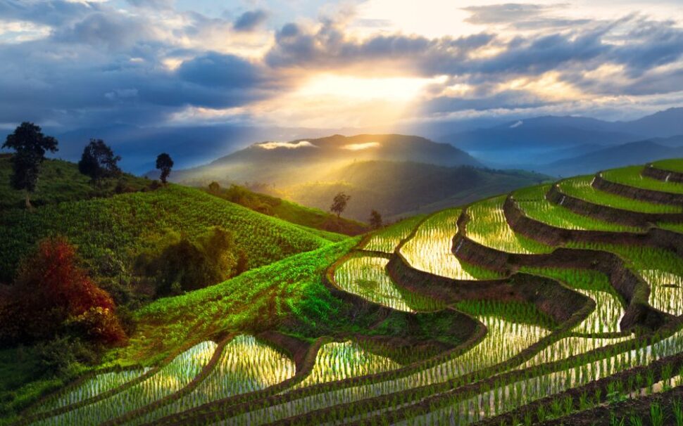 Mountain rice field at Chiang Mai, Thailand