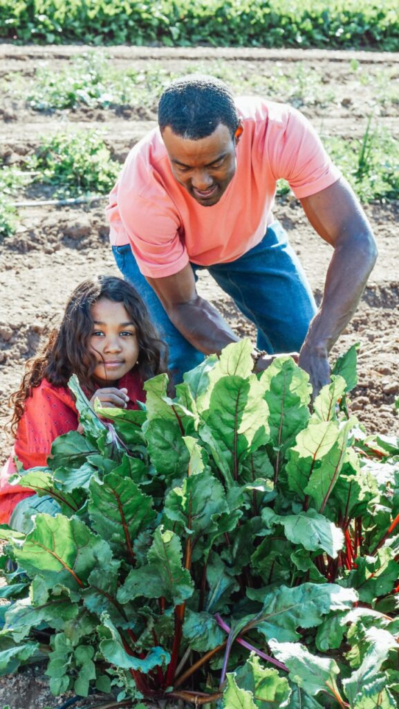 Father and Daughter planting in a garden