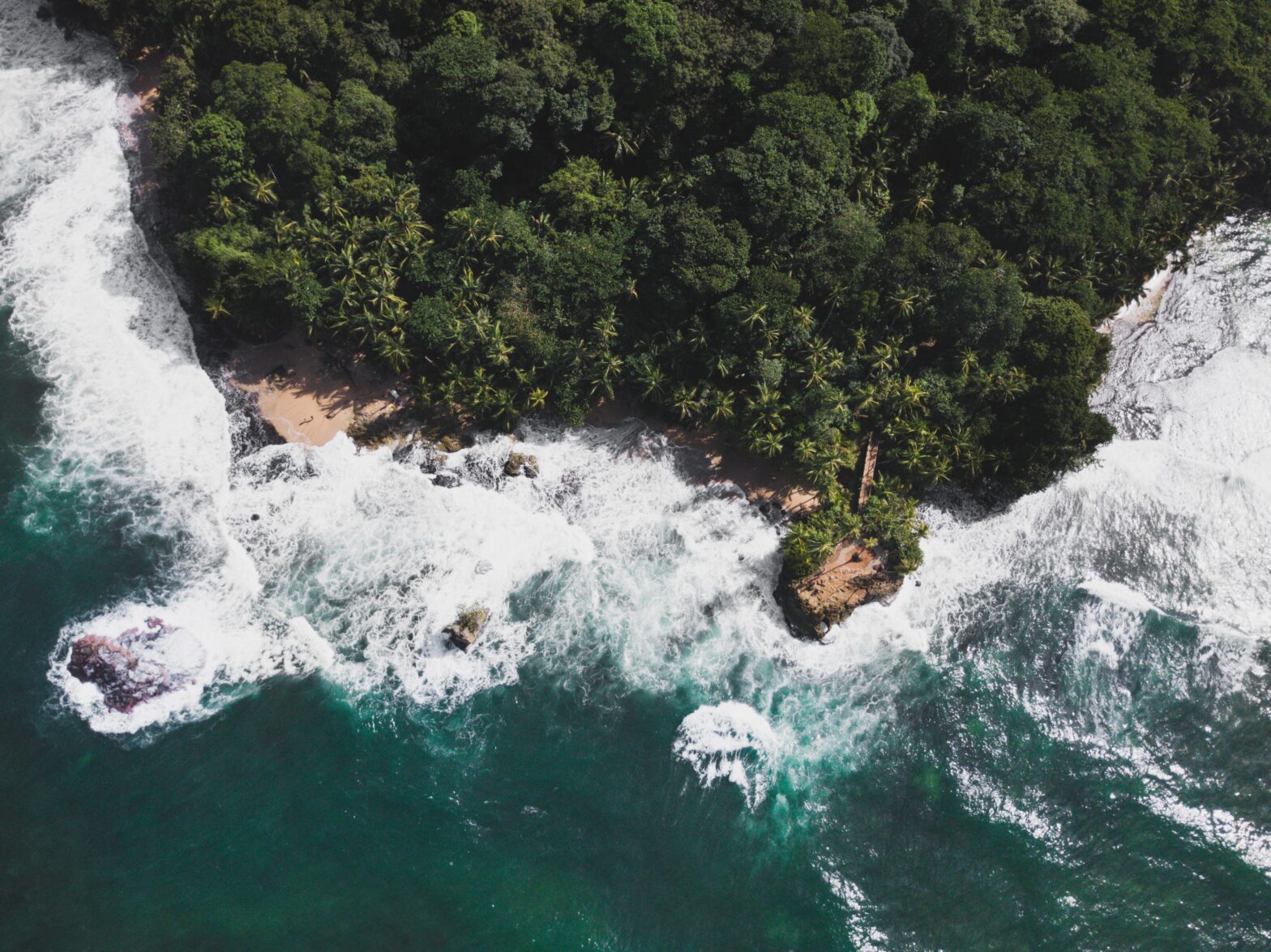 Limón, Costa Rica Travel Guide: Find Your Caribbean Rainforest Adventure