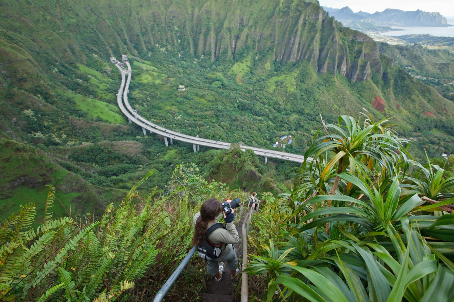 Everything You Need to Know About Hiking Haiku Stairs