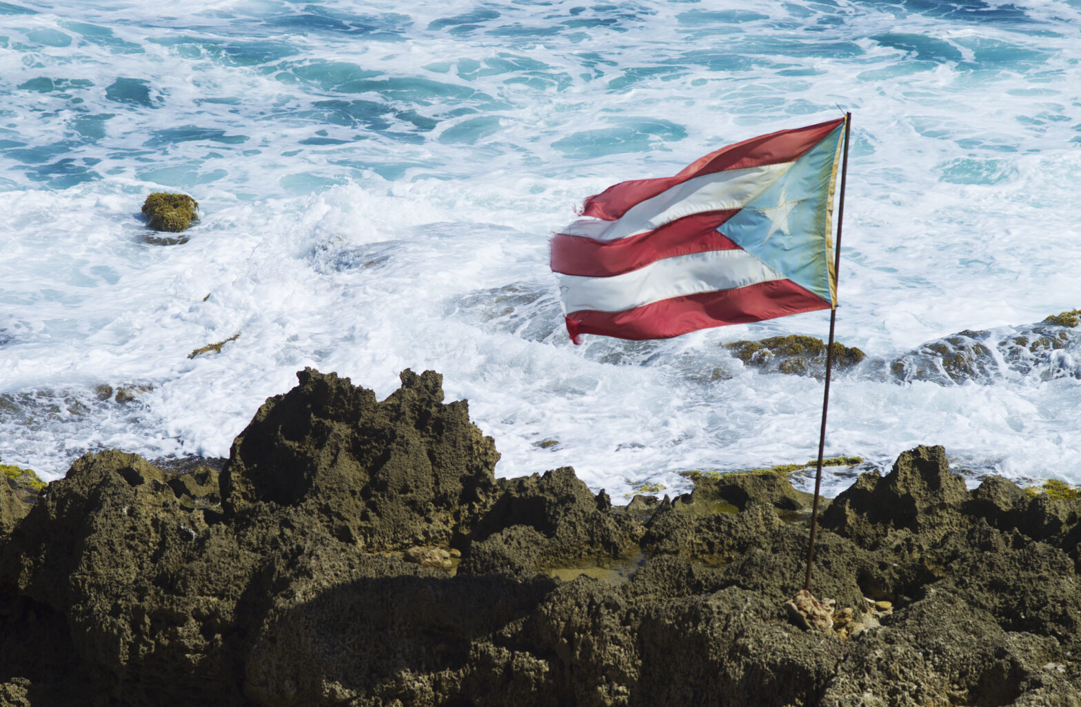 puerto rican flag in front of the sea