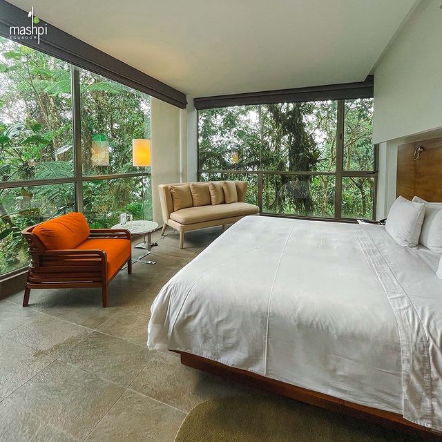 room interior at Mashi Lodge in Ecuador