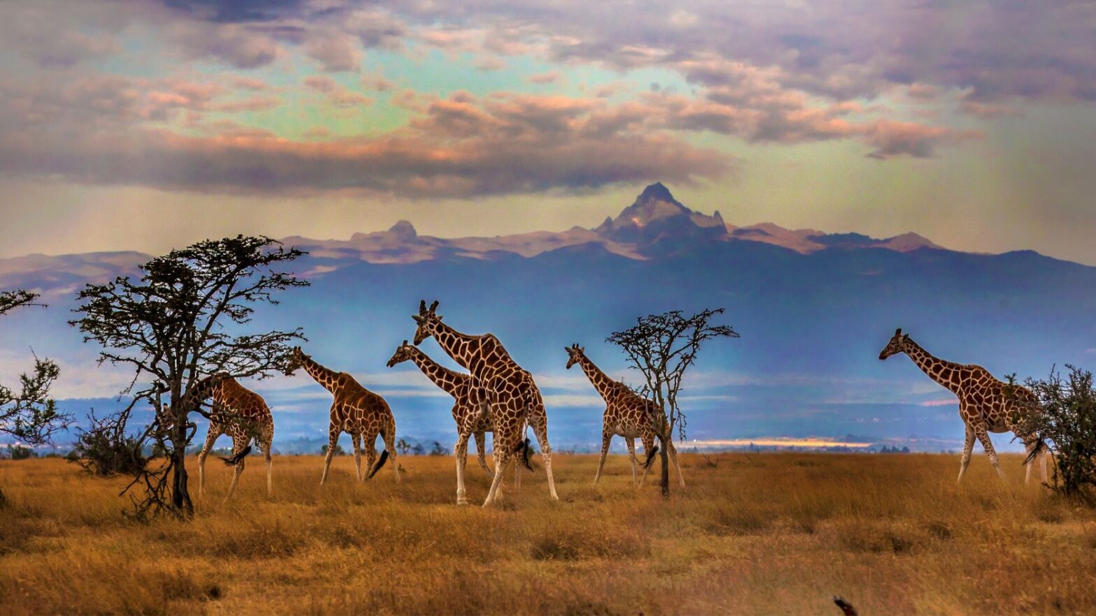 Here Are A Few Facts About The Five Tallest Mountains In Africa