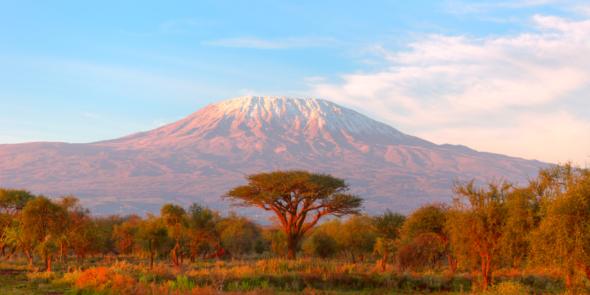 Mount Kilimanjaro with Acacia - Mountains of Africa