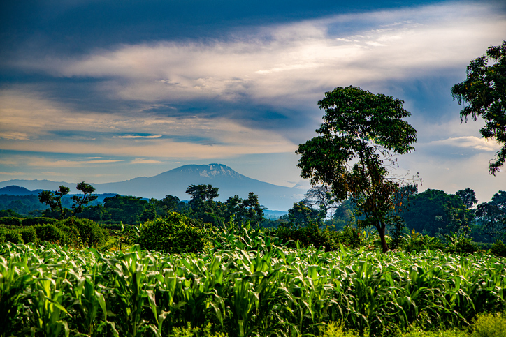 Landscape view of Mount Meru from Arusha, Tanzania