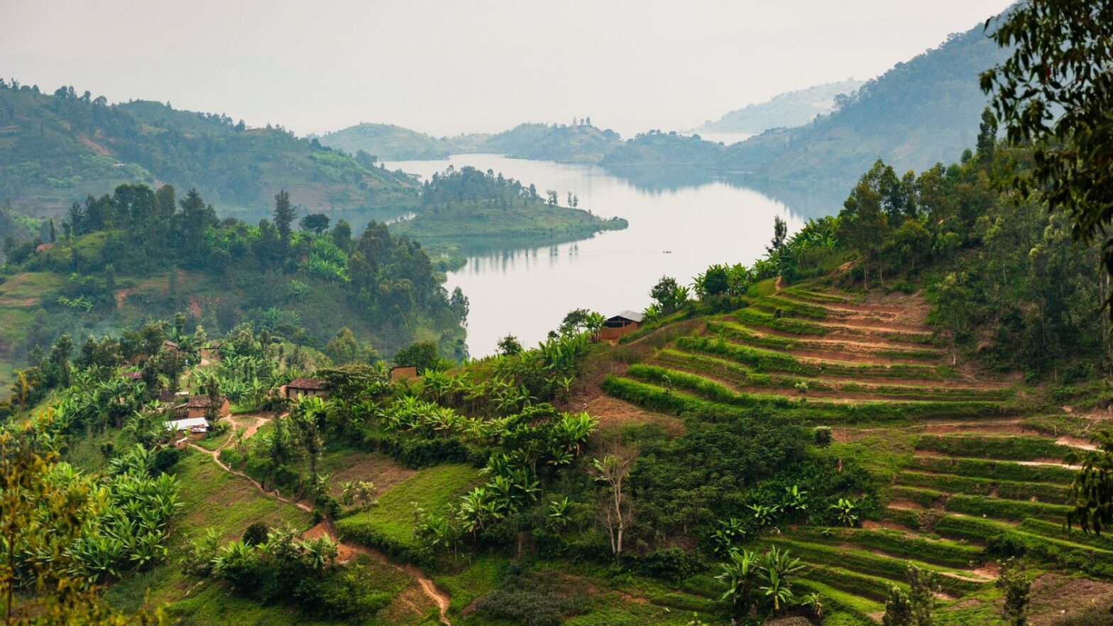 Farmland on steep hillside near Lake Kivu, Rwanda