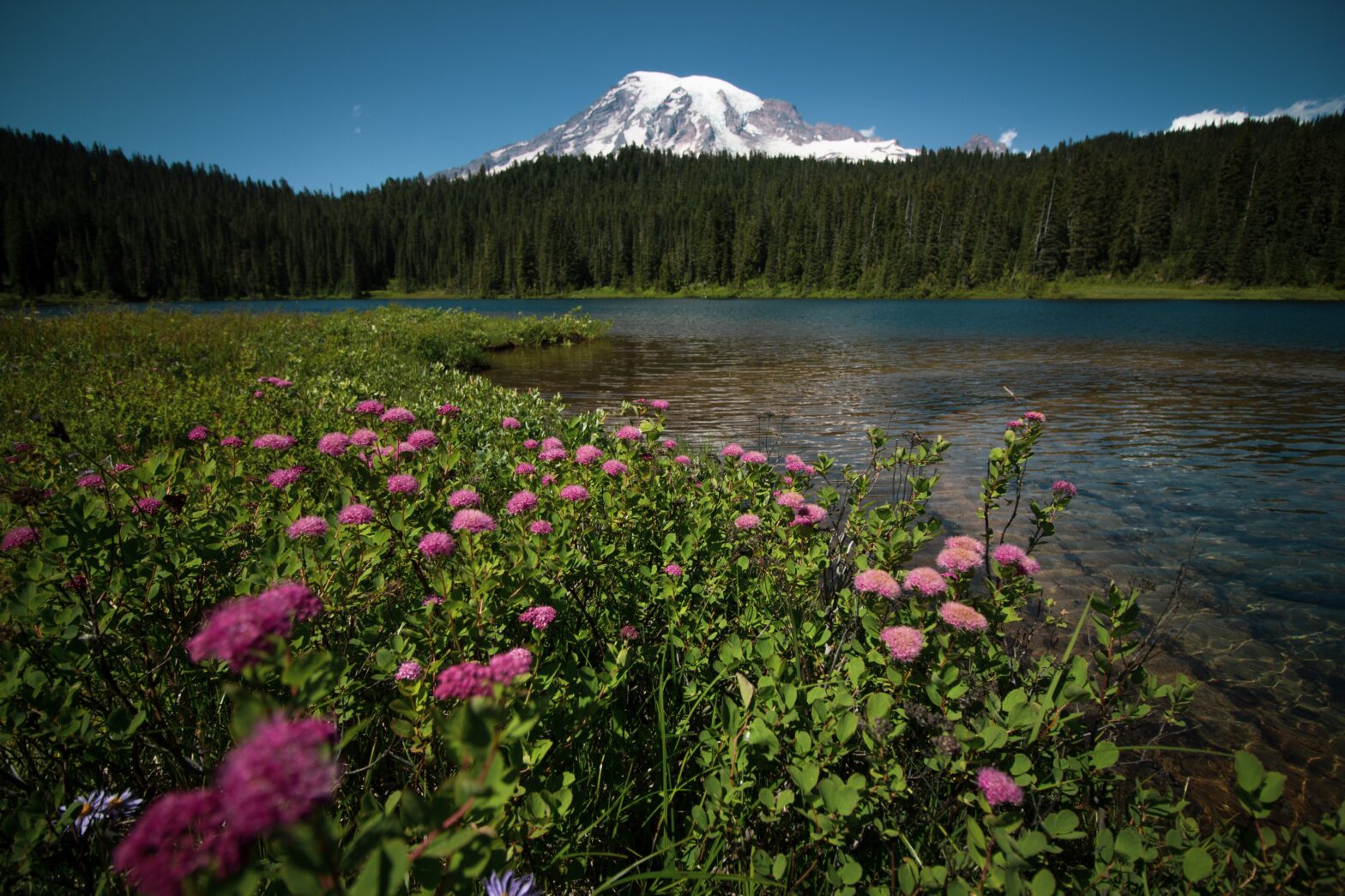 5 Must-Visit Spots in Washington State for Nature Lovers