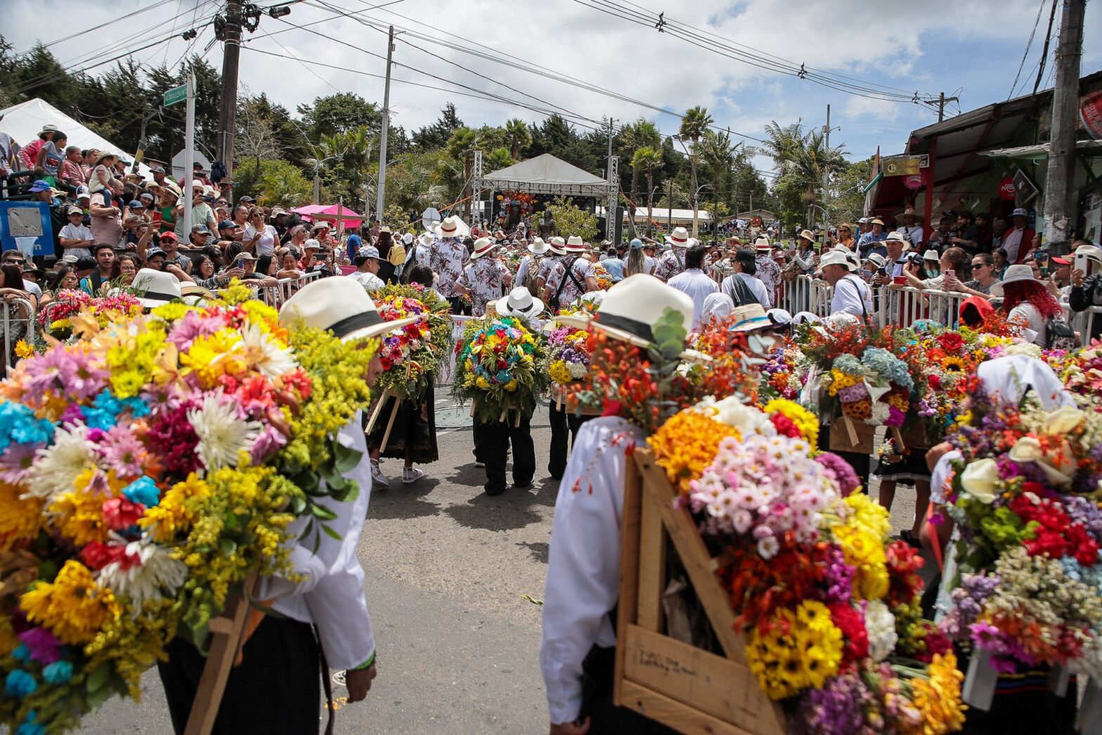 A Fiesta of Colors in Colombia: Medellín's Flower Festival