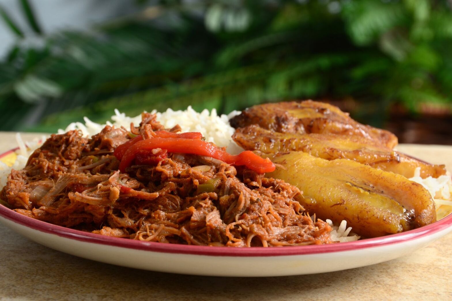 plate of ropa vieja