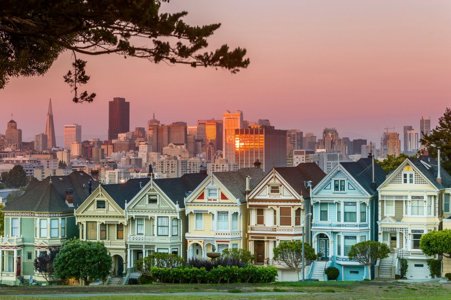 San Francisco Houses and Skyline