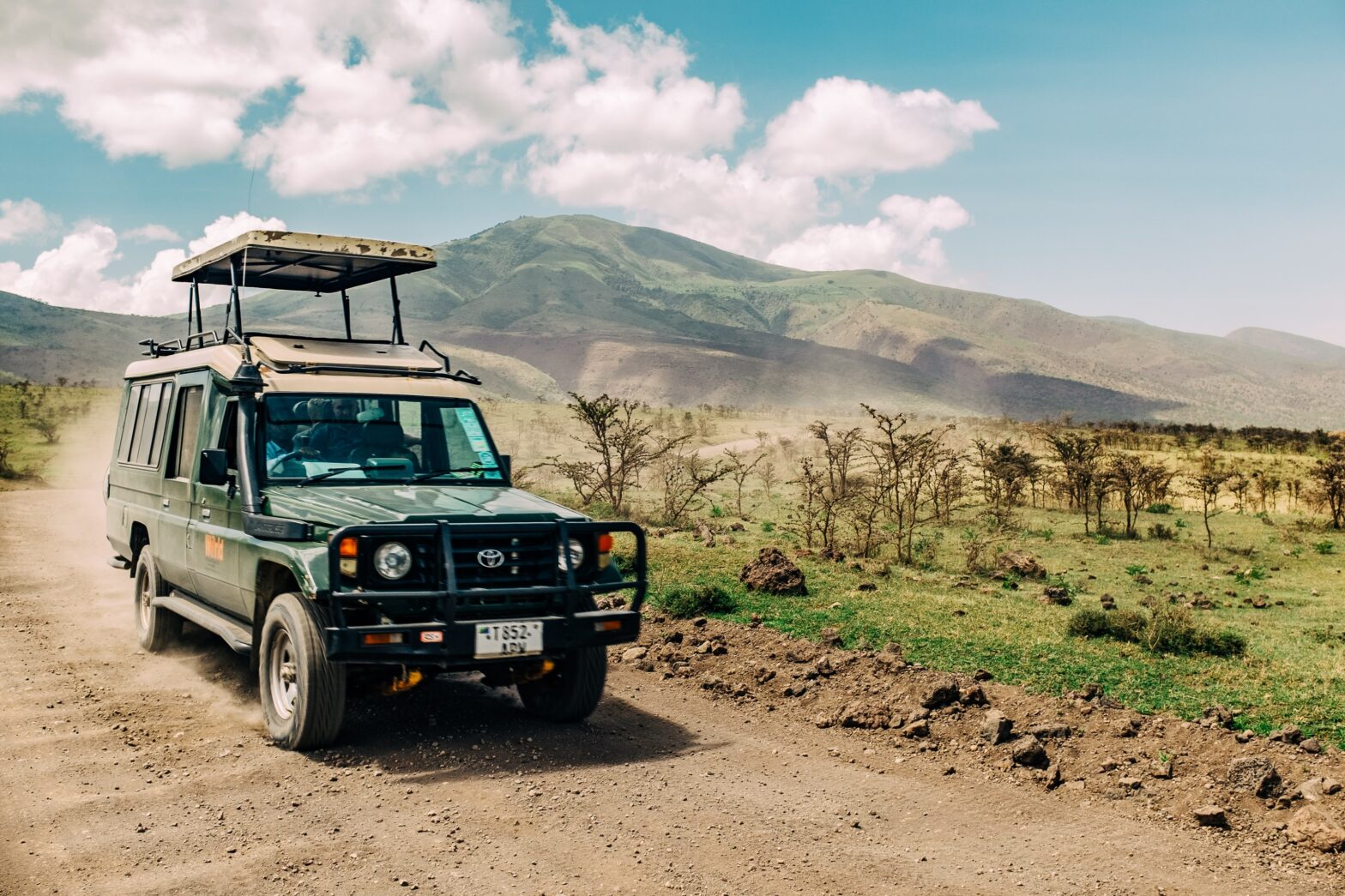 Tanzania or Kenya: What To Know About The Safari Experience