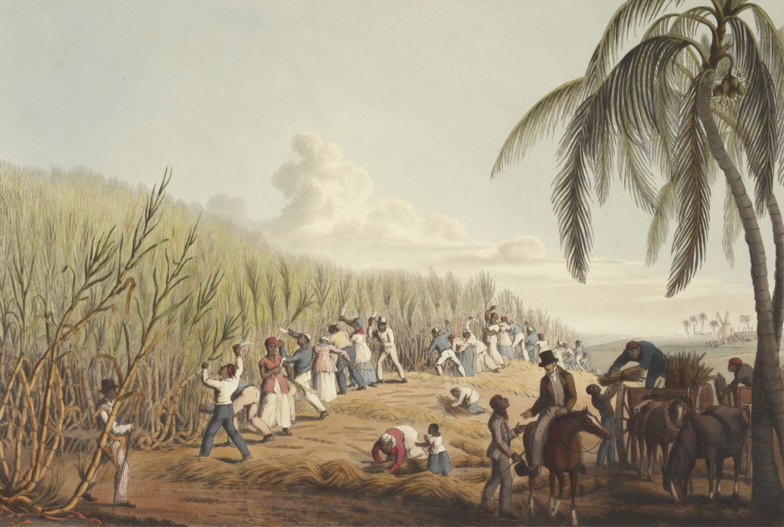 The Contribution of African Slaves to Puerto Rico's Rum World