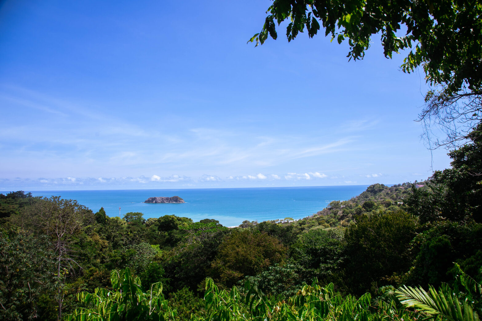 Your Ultimate Guide To Eco-Friendly Adventures In Costa Rica