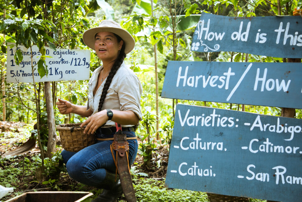 coffee farm, Costa Rica, intrepid travel