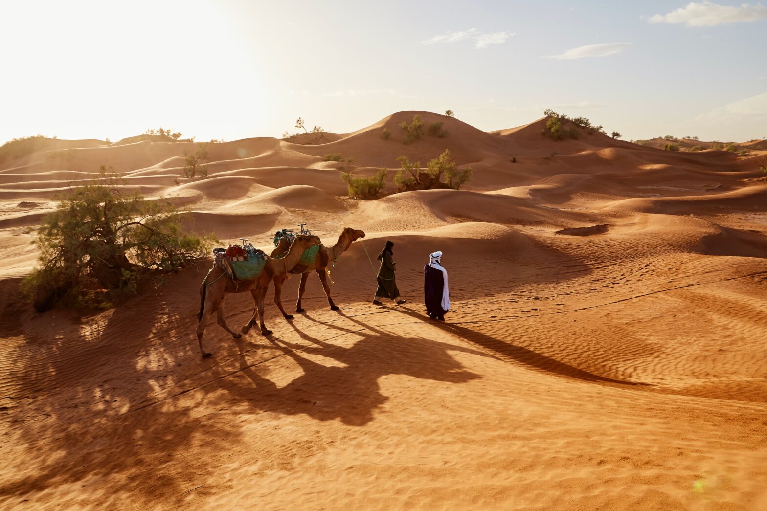 Dubai's Hidden Oasis: Meet Al Marmoom Desert  Reserve