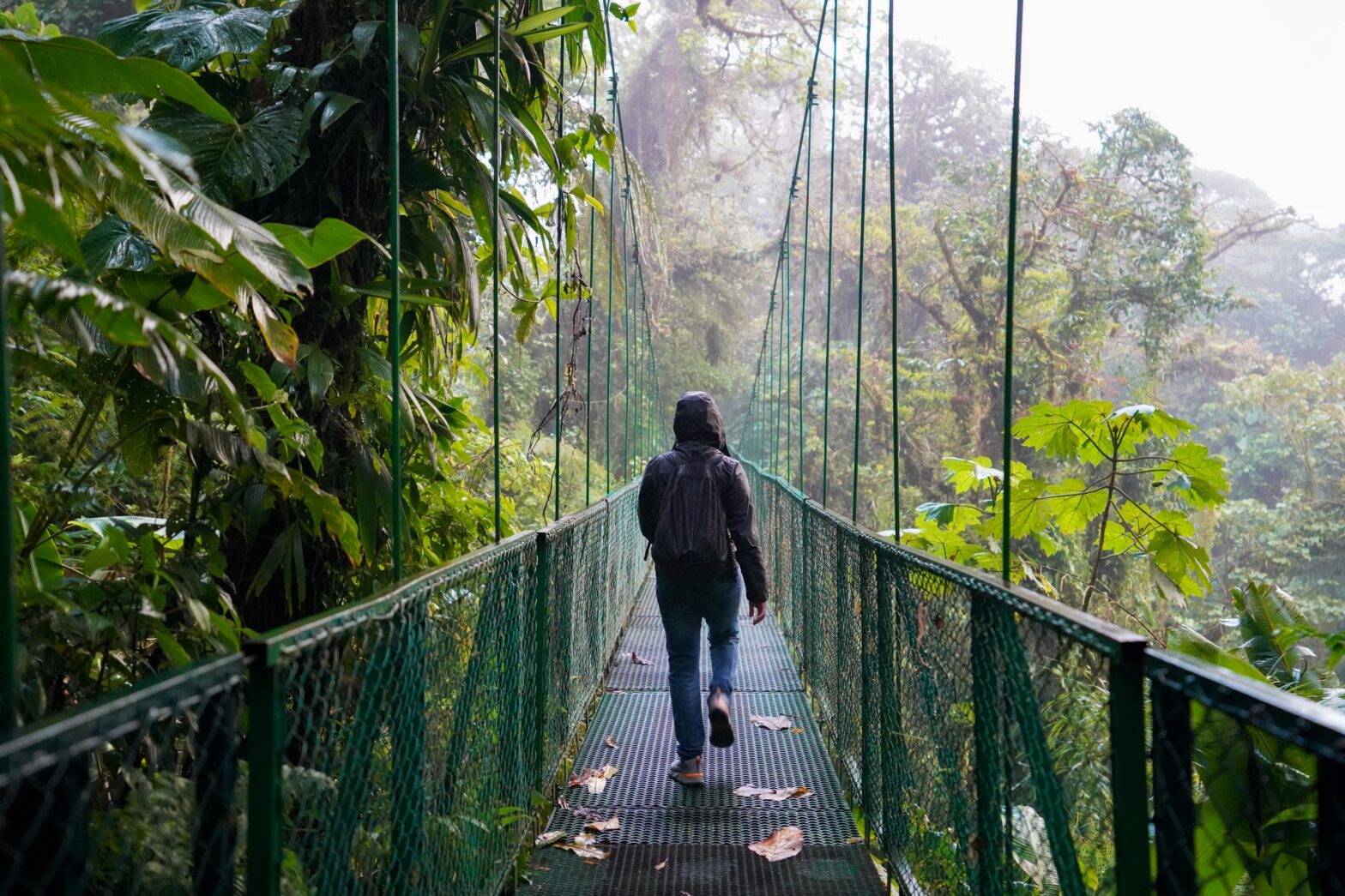 ¡Pura Vida! Rejuvenate Your Senses with These Costa Rican Experiences