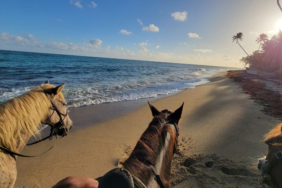horeback riding on the beach in Vieques