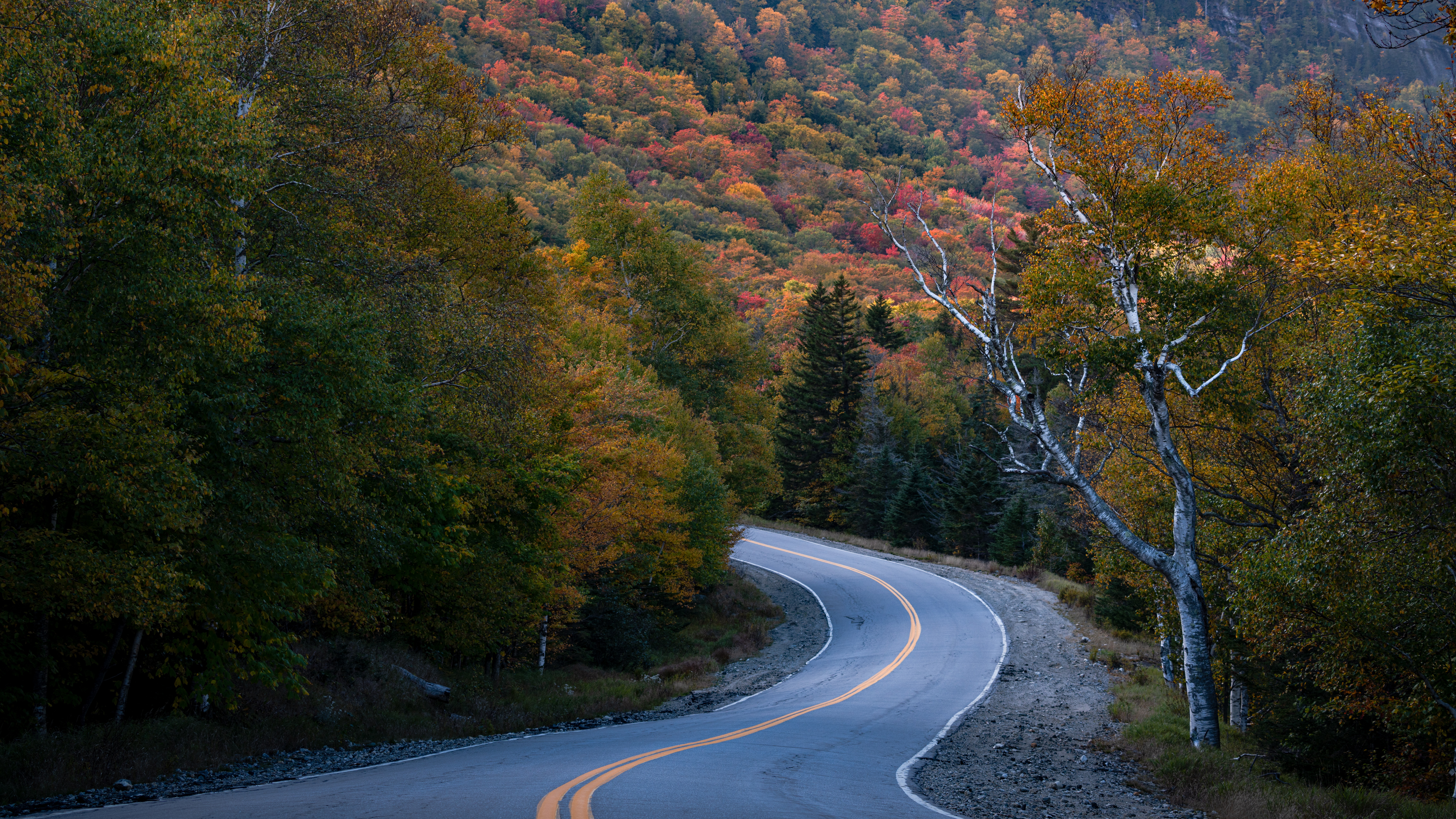 Montpelier, Vermont has many nature attractions for visitors to enjoy. 
pictured: A road in Vermont with pretty red, green, and yellow leaved trees in the back
