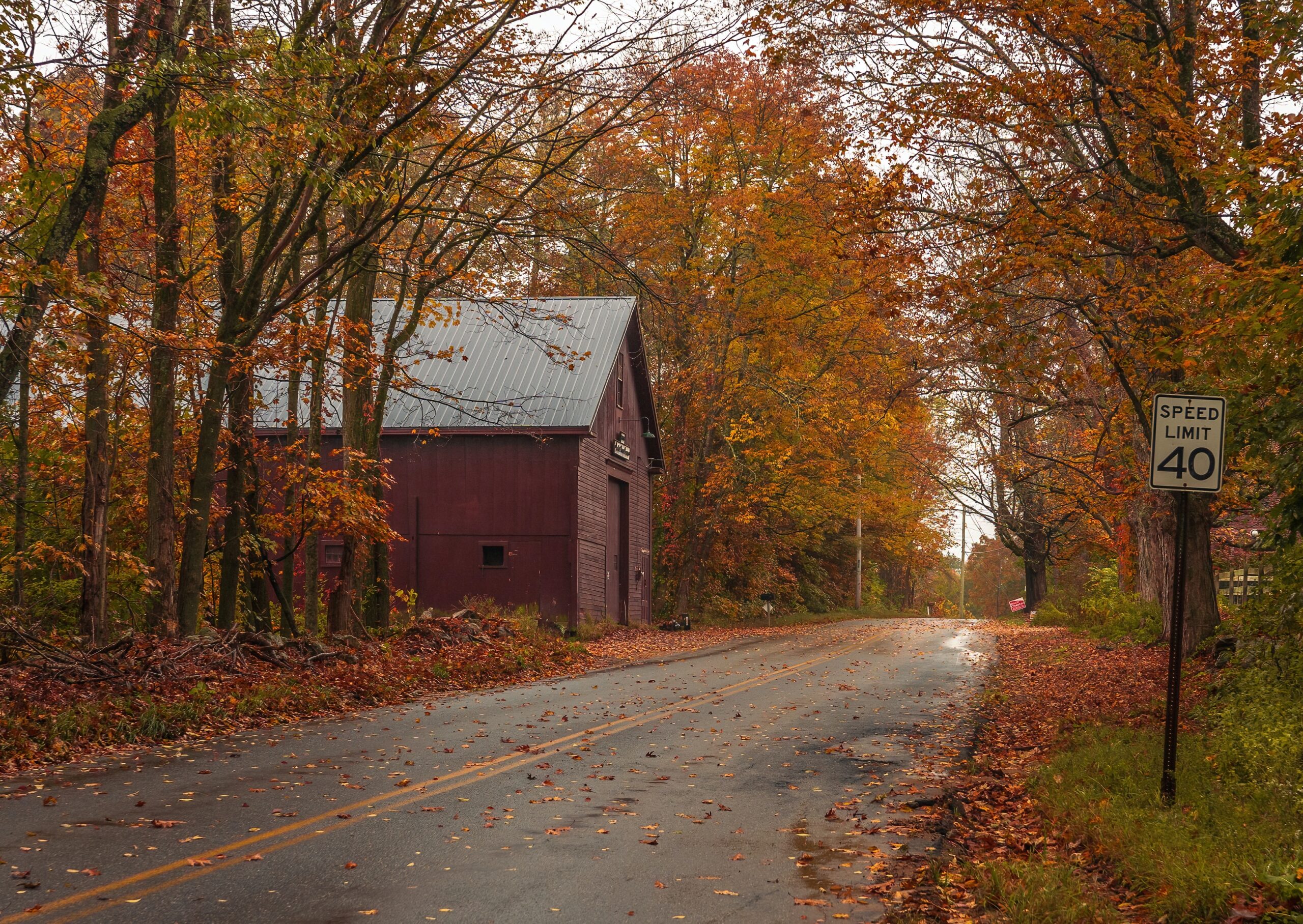 Massachusetts is a New England state with popular sites.
pictured: a Massachusetts back road covered with reddish fall leaves 