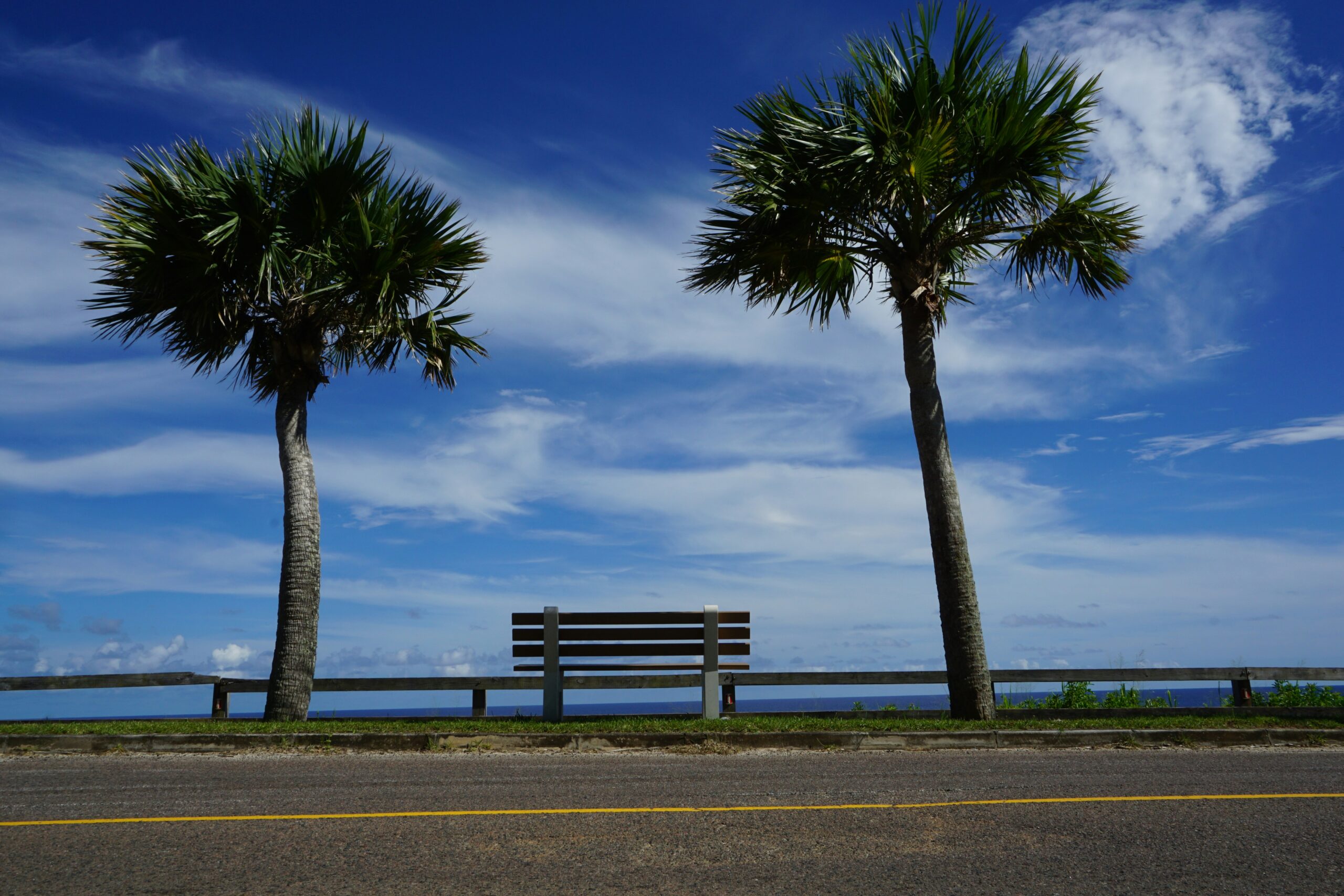 Transportation in Bermuda can be tricky for visitors who want to make affordable choices. Learn more about the best ways to get around the island.
pictured: Palm trees and a road near the ocean in Bermuda 
