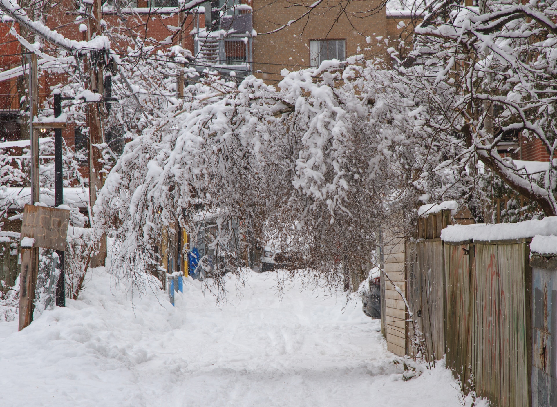 Snowy street in Plateau Mont-Royal