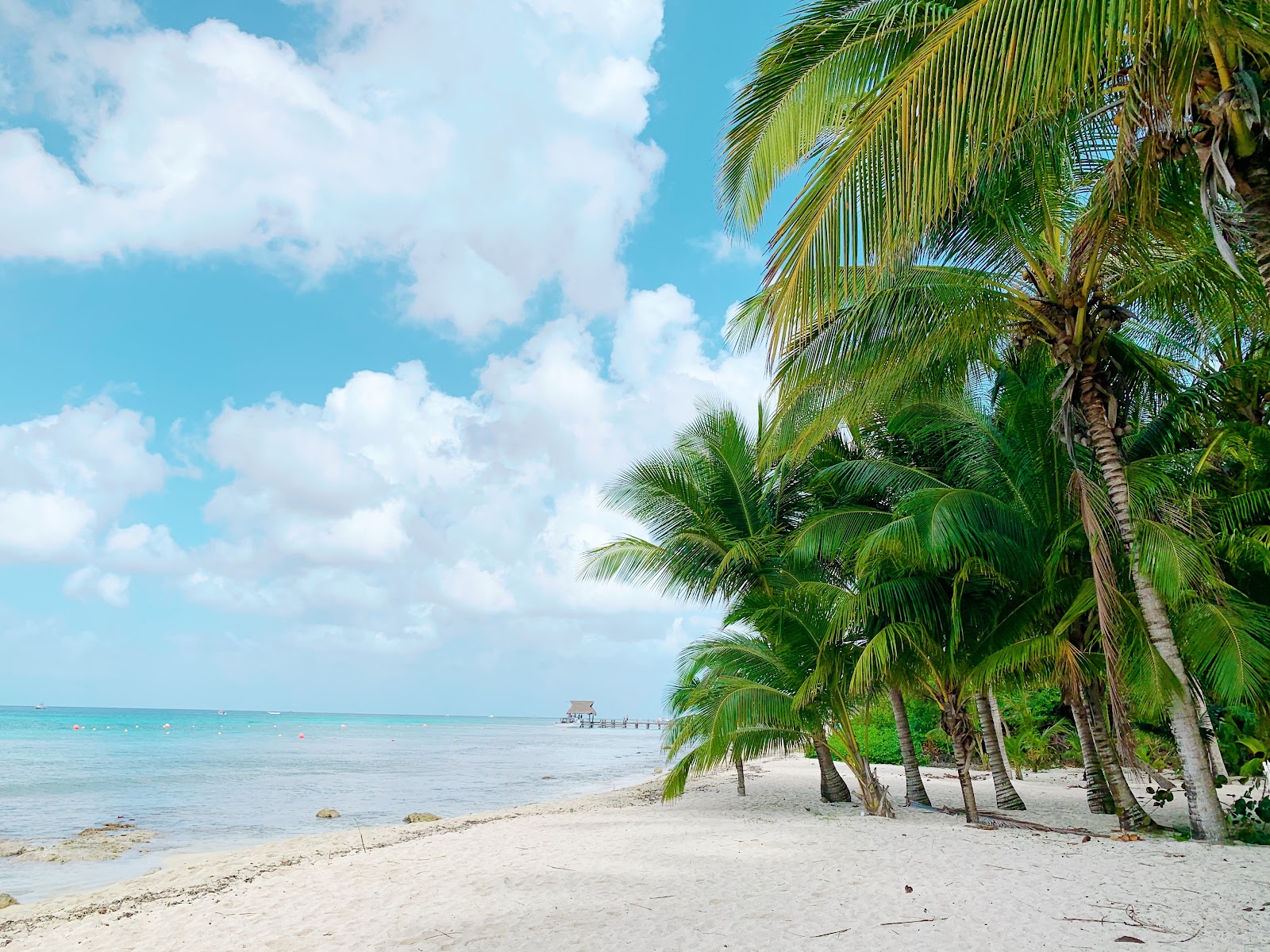 Cozumel, Mexico is a popular destination for relaxing and safe vacations. 
pictured: A Cozumel beach with white sand and lush green palm trees
