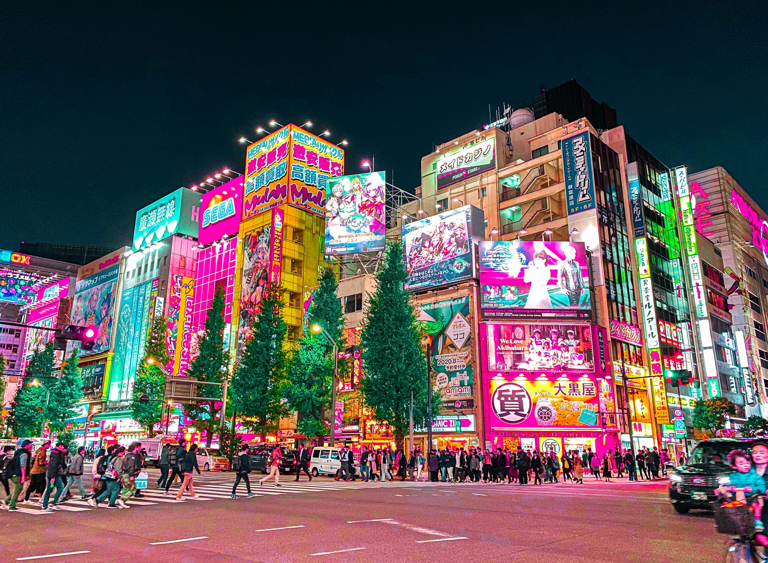 Akihabara is a bustling area that has many activities and attractions. 
pictured: Akihabara on a busy night with many buildings brightening up the streets lined with people
