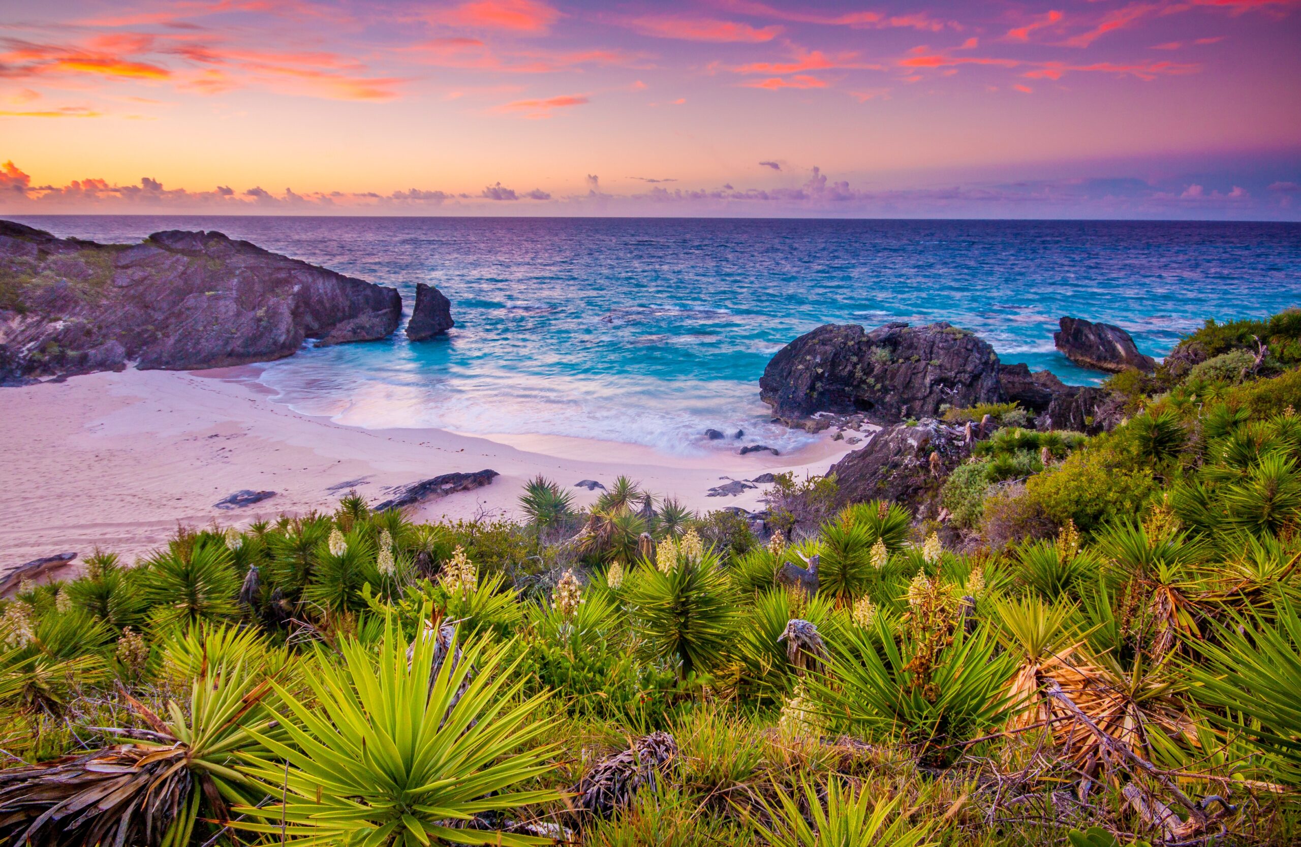 Many travelers love swimming in Bermuda beaches but do not consider if there are lurking dangers.
pictured: a stunning Bermuda beach with green thriving plants near the clear blue waters at sunset