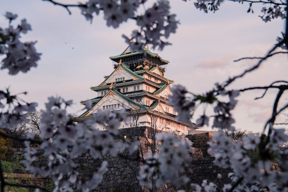 A view of Osaka castle through cherry blossom tree branches. 