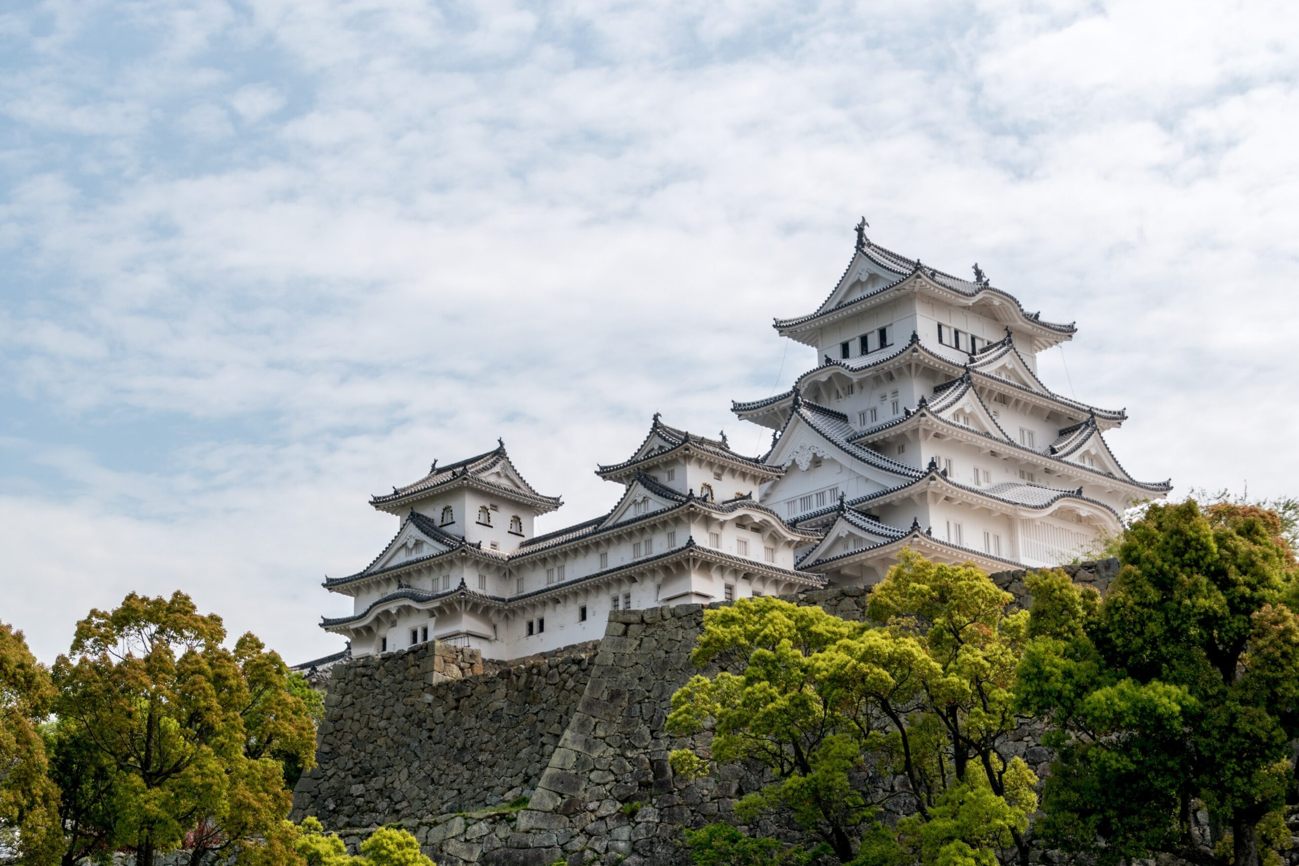 The city of Himeji is one of the nicest southern destinations for cherry tree viewing. The famous Himeji Castle is a popular attraction that many visitors view the sakura from. 
pictured: The tall and white Himeji Castle, which sits on the Himeyama Hill 