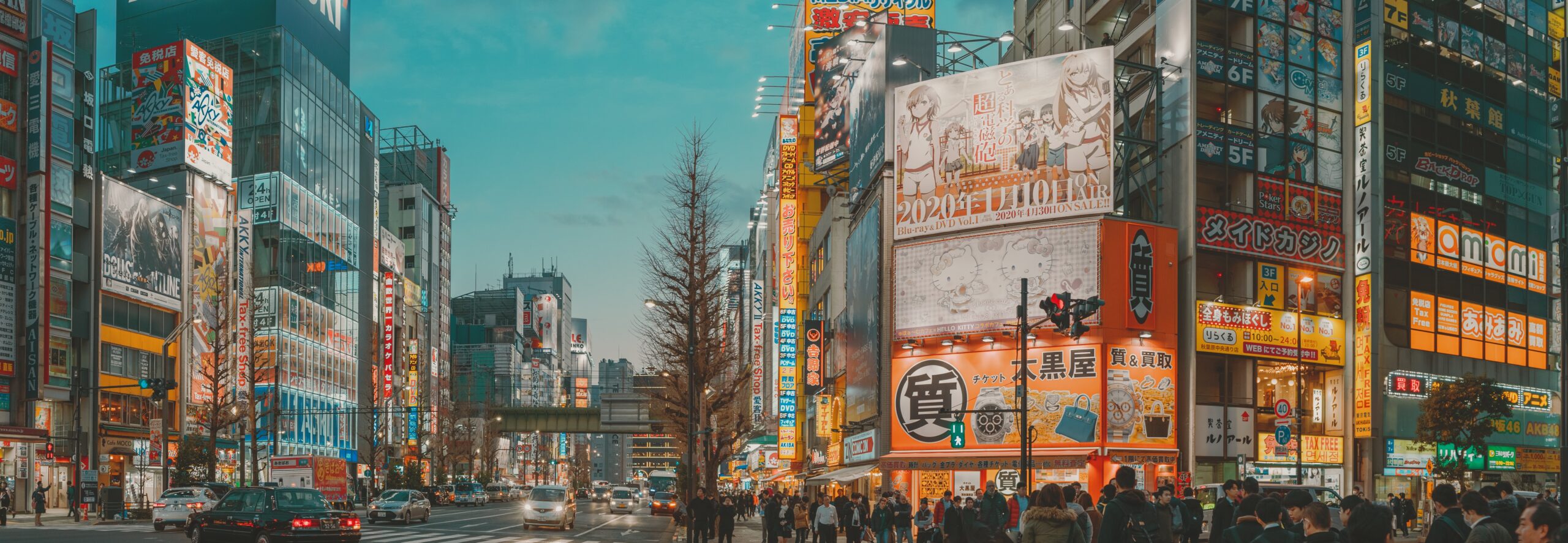 Akihabara is a stunning area that can be visited thoughout the year comfortably. 
pictured: Akihabara's Chuo Dori street during winter with bright shining lights illuminating the buildings and locals walking around