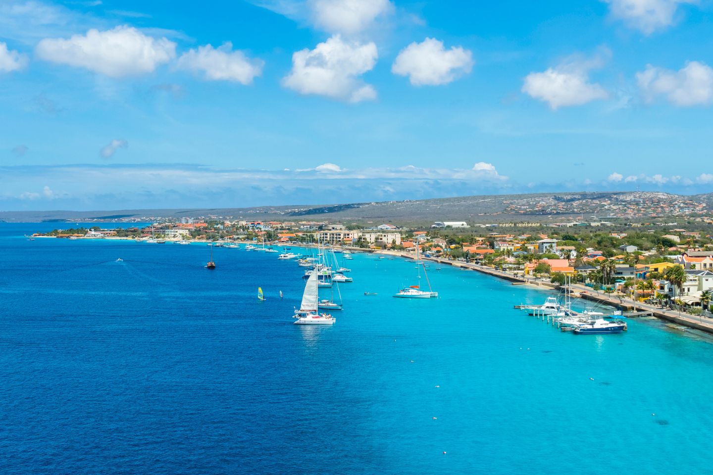 Dive into Paradise: Why Travelers Should Visit Bonaire
