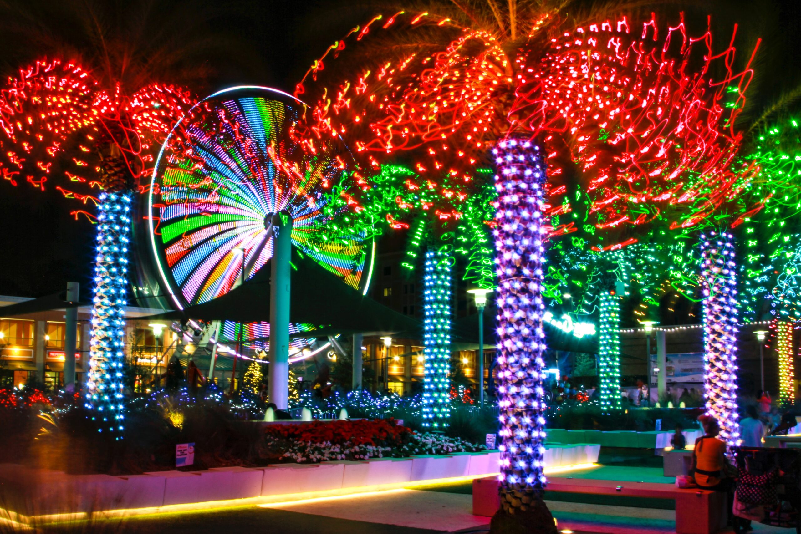 Spending Christmas in Hawaii is a popular choice for travelers. Learn about the number of activities that Hawaii’s islands offer. 
Pictured: tropical palm trees with Christmas lights lighting up the night at a resort 