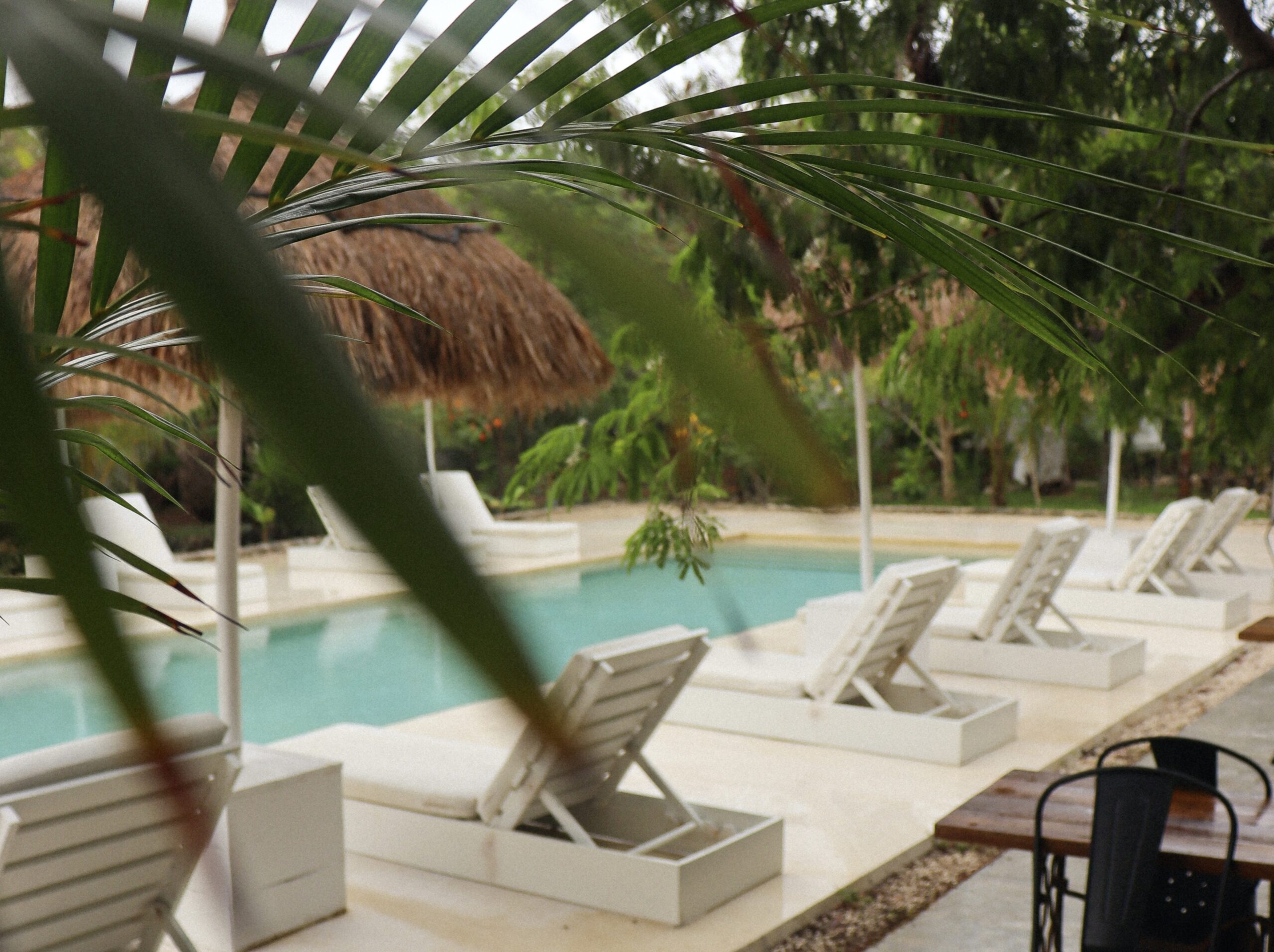 The royal suites in Tulum are a top resort that offers all-inclusive packages. 
Pictured: a pool side view of a resort in Tulum with lush trees 