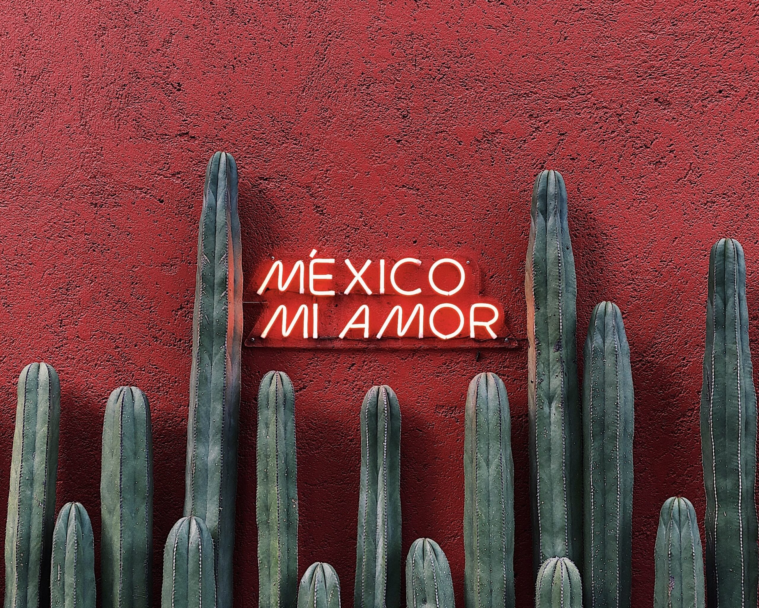 Mexico is a great destination for a sun soaked vacation. Check out these safe locations that all types of travelers can enjoy. 
Pictured: Cacti surrounding a sign in Spanish that says Mexico my love 