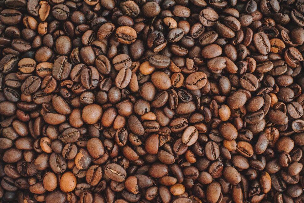  fresh arabica coffee beans
