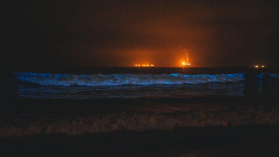 Bioluminescent Beach (in California) 