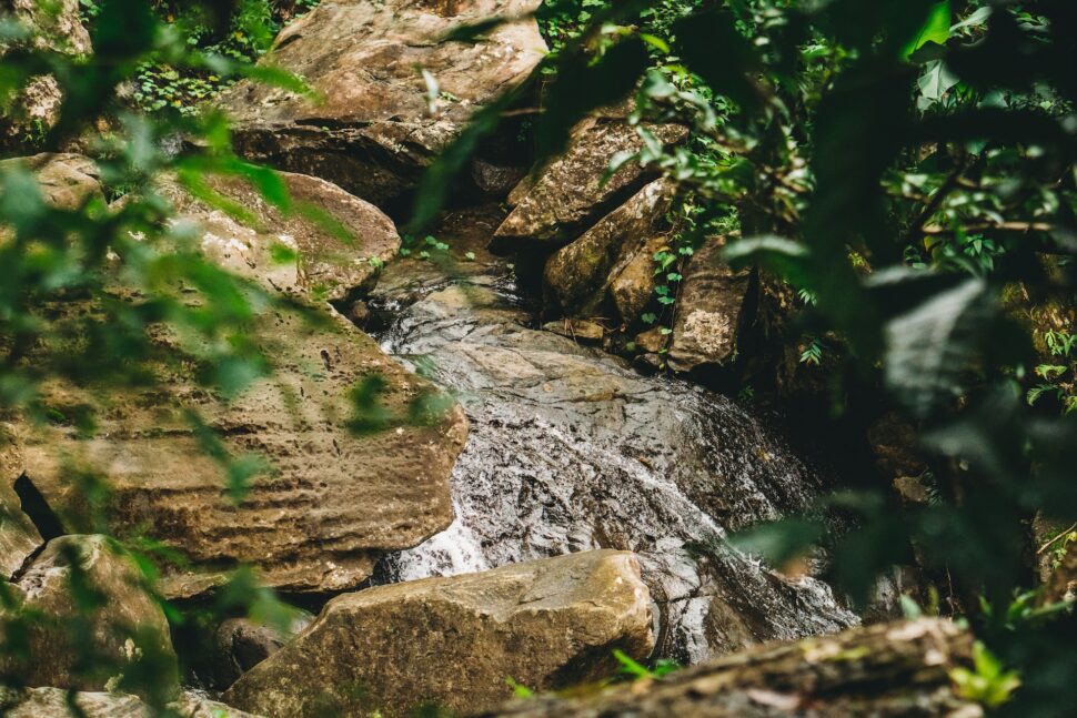 A stream in El Yunque Forest