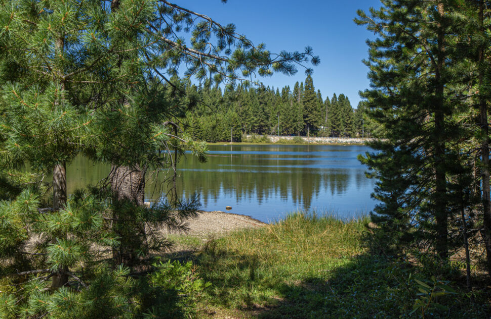 40 Acre Conservation League Purchases 650 Acres outside of Lake Tahoe in California.