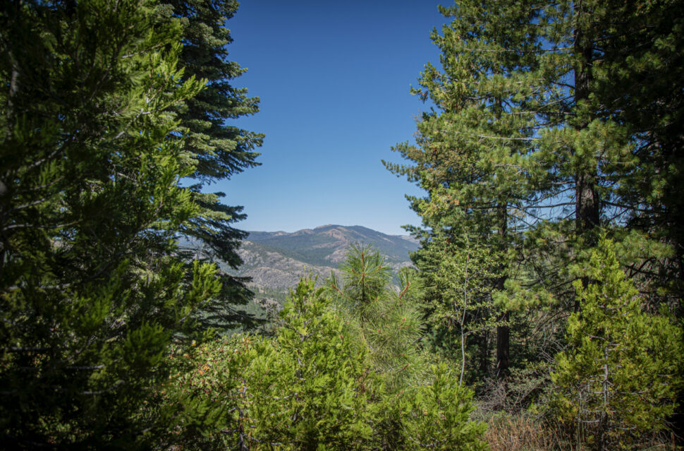 40 Acre Conservation League Purchases 650 Acres outside of Lake Tahoe in California.