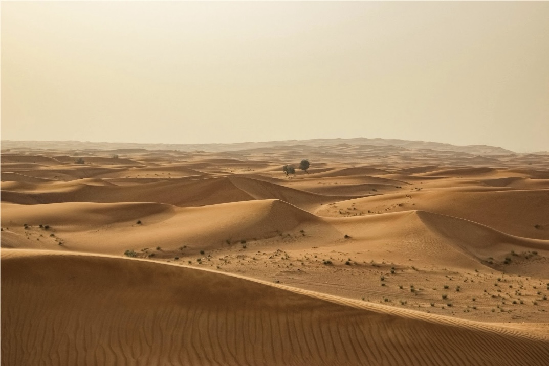 These travel advisories are the most informative and up to date platforms for travelers that want to assess whether Dubai is safe or not. 
Pictured: the sandy Dubai desert during the day with minimal shrubbery or life to be seen
