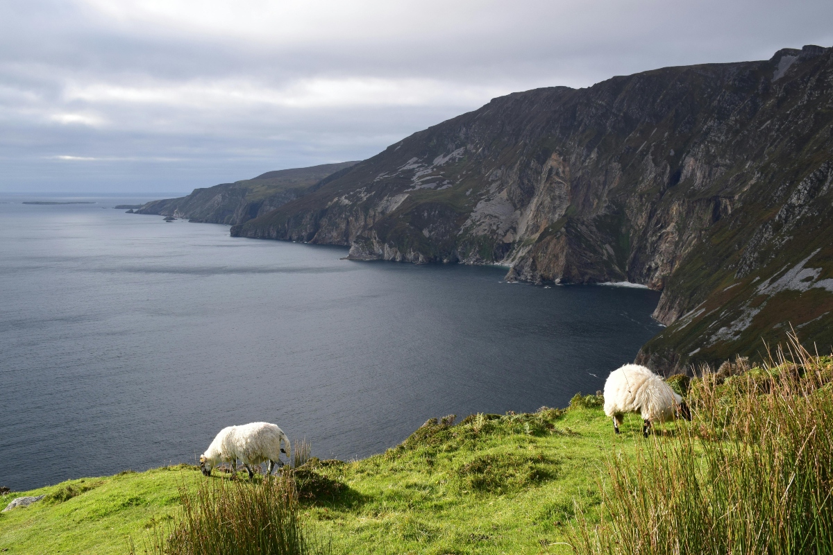 Where Was 'The Irish Wish' Filmed? Love Traced On The Emerald Isle