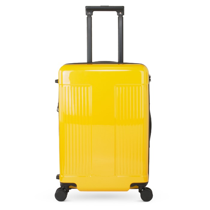 WNDR LN Carry-On Suitcase