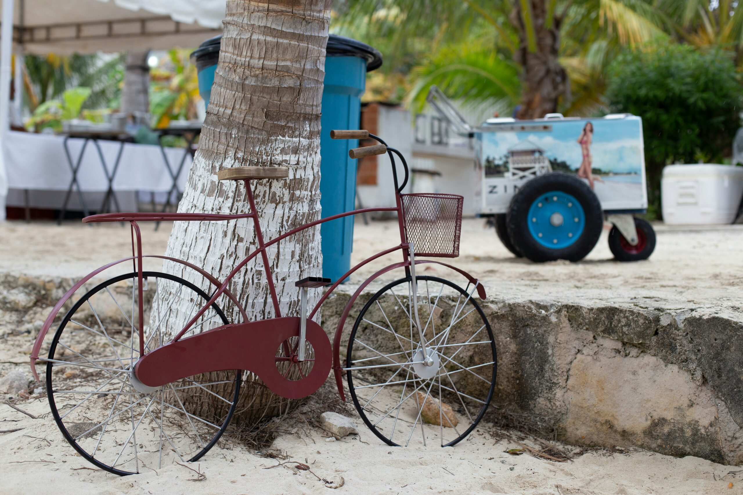 These travel advisories are the best resources for tourists that want to learn more about Playa del Carmen. 
pictured: a red bike in front of a palm tree on a white sand beach in Playa del Carmen 