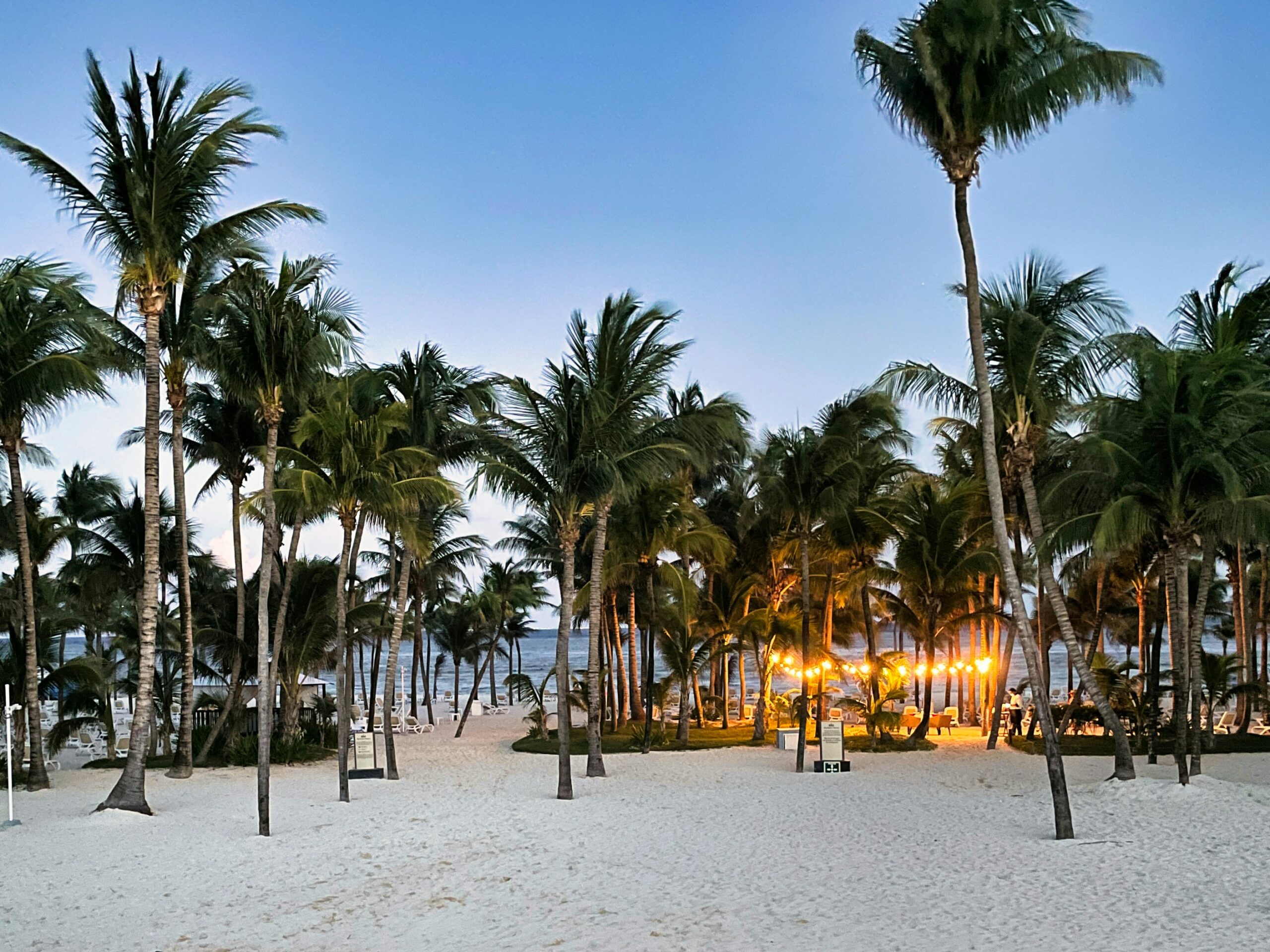 Learn more about the safety concerns in Playa del Carmen and if the destination is considered safe for travelers. 
pictured: a white sand beach with lush green palm trees near sun set in Playa del Carmen