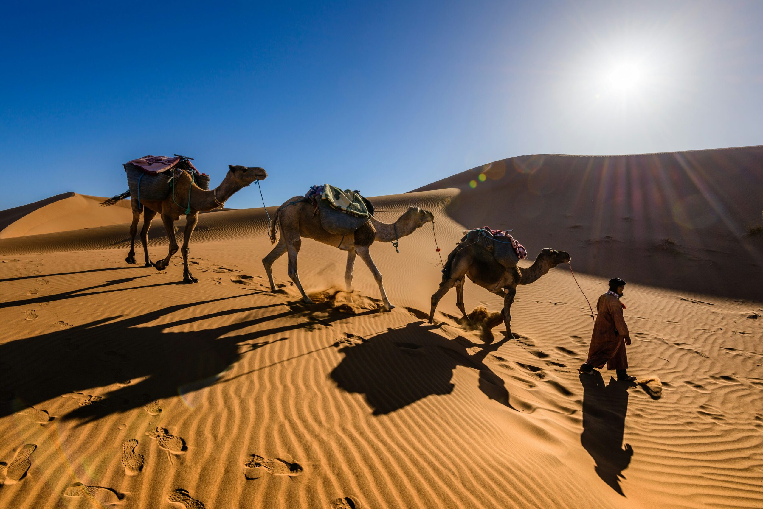 These travel advisories are the top resources for tourists looking to learn more about the safety in Morocco.
pictured: a man and three camels journeying through the Sahara Desert on a sunny day 