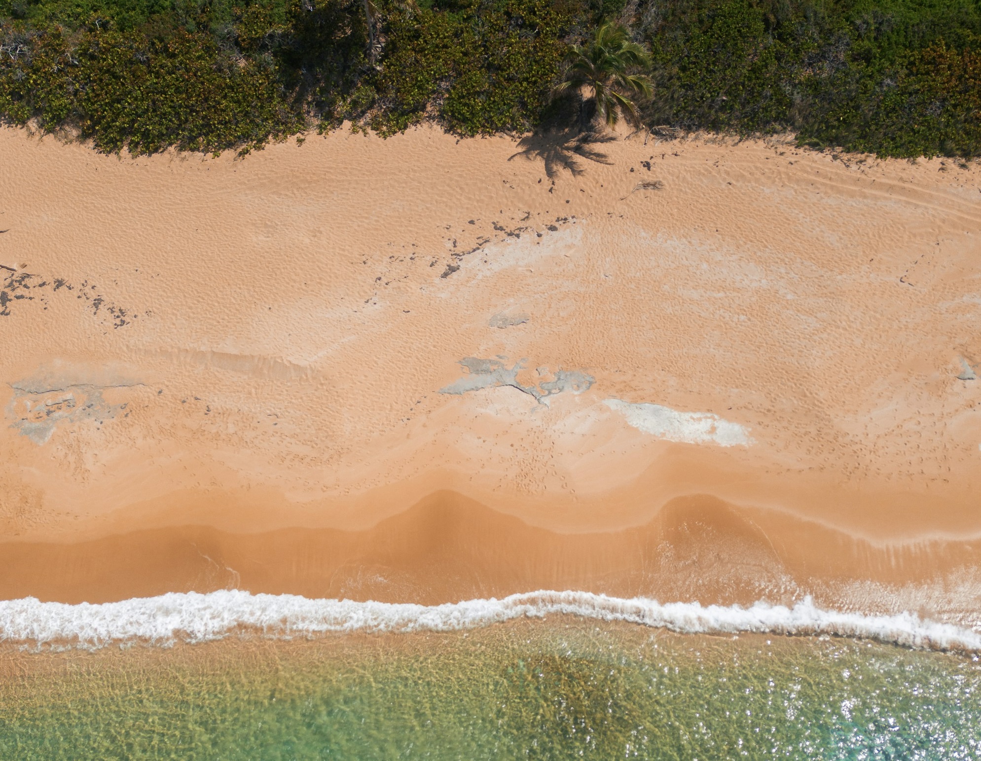 These are the best overall beaches located in Puerto Rico.
Pictured: a tan sandy beach with clear gentle waved coming onto the shore in Puerto Rico