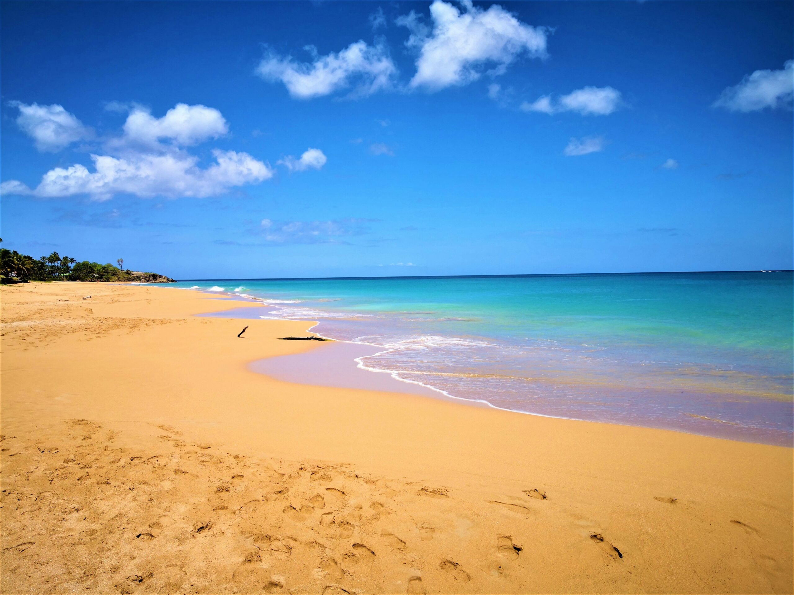 This destination in Guadeloupe is one of the most important filming locations for the series “Death in Paradise”.
Pictured: a warm beach with tan sands and turquoise waters