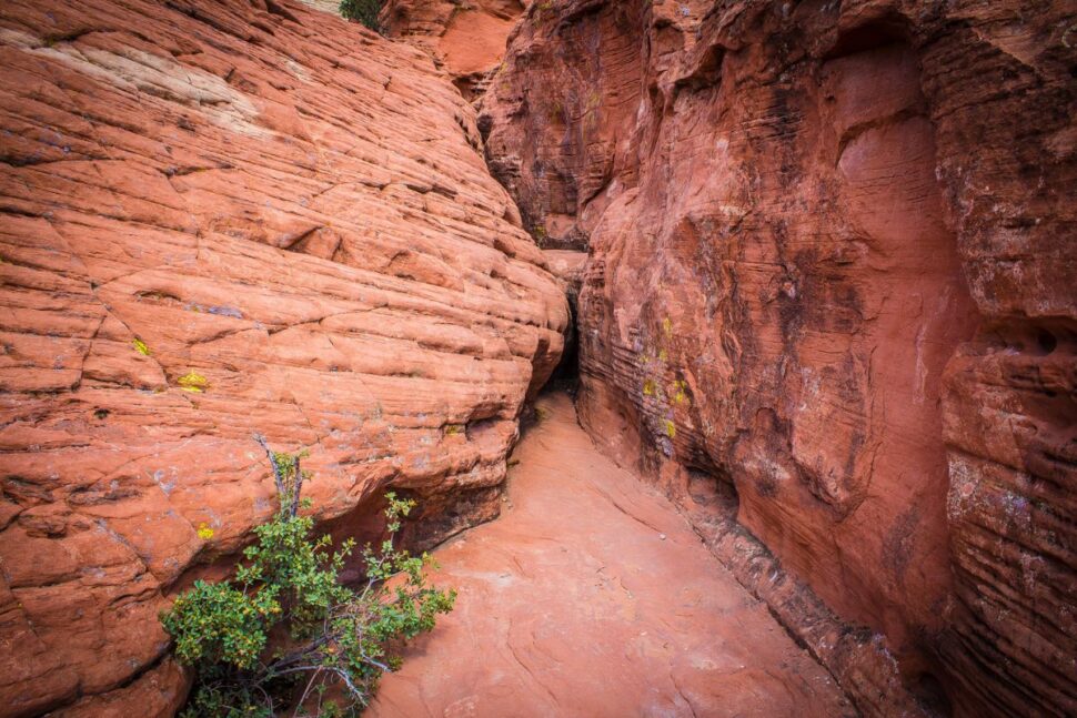 narrow walkway inside Red Rock Canyon